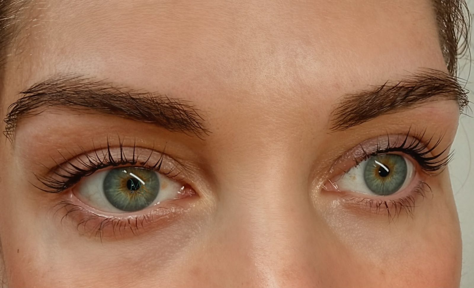 Natural lashes lifted and tinted, curled from the root