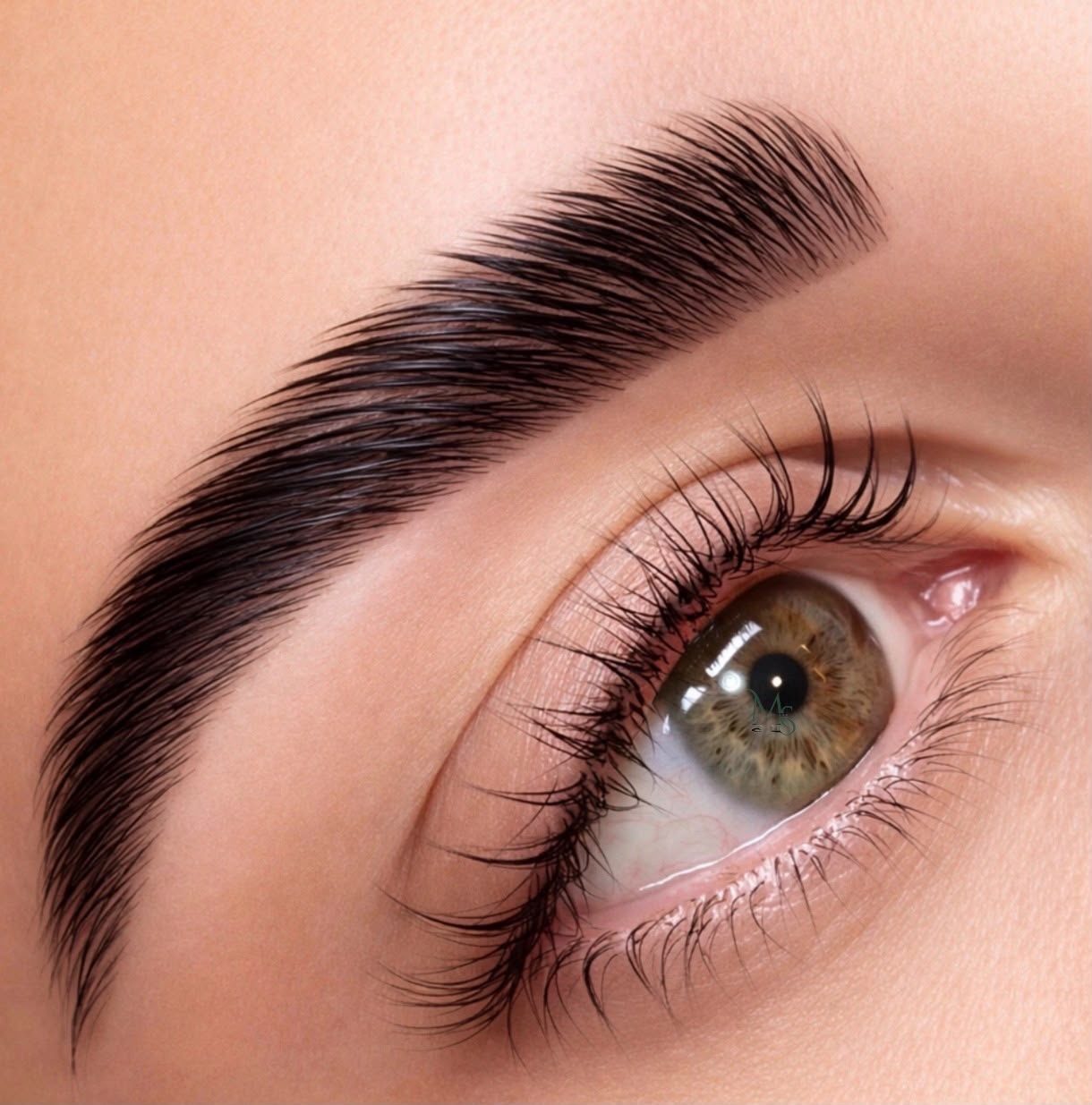 A finished brow lamination and lash lift, brow hairs brushed up and lashes curled